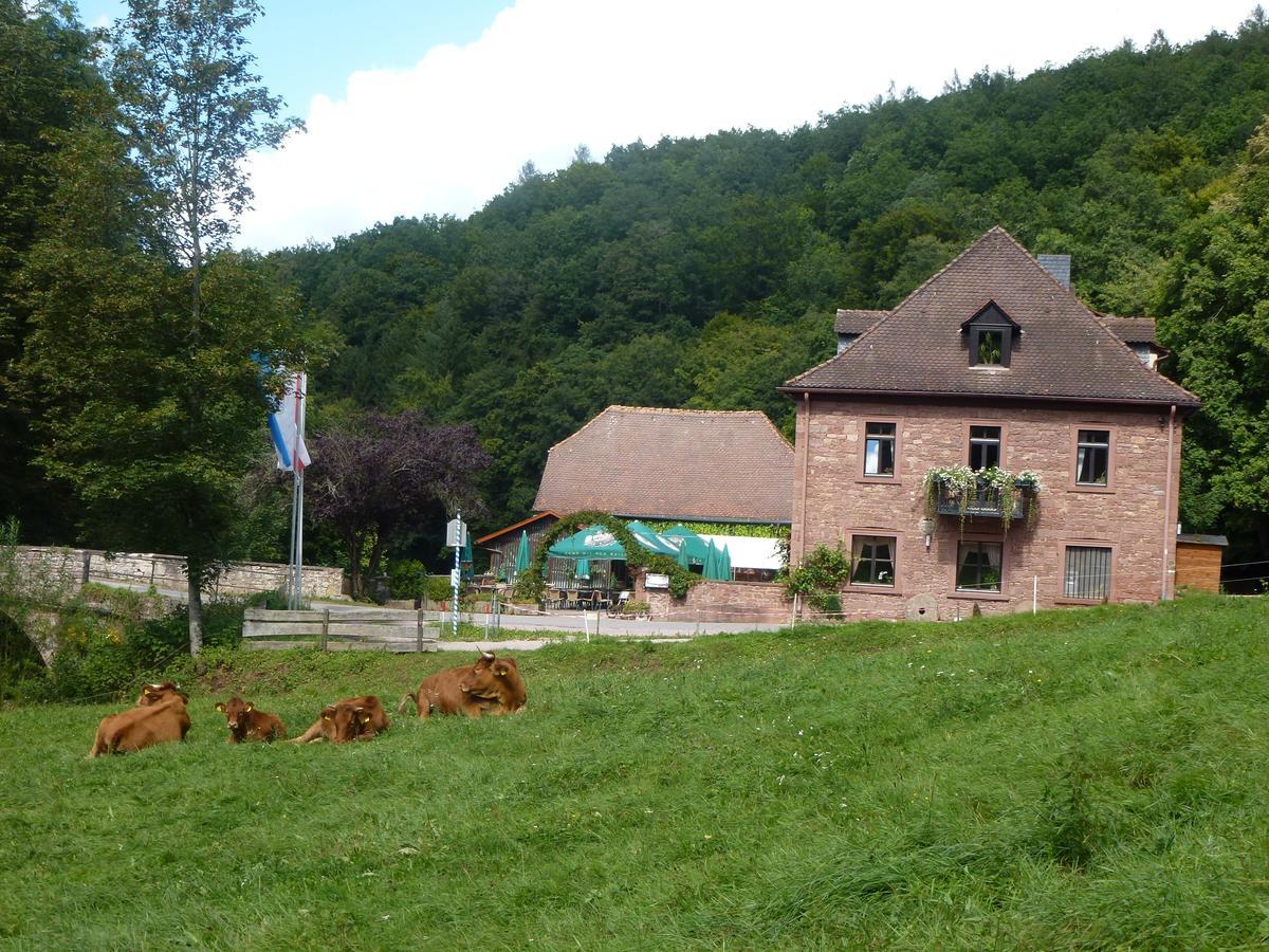 Hotelgasthof Buchenmuehle Lohr Exterior foto